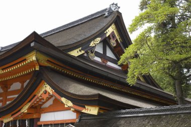Japonya 'daki güzel Japon evi ve gökyüzü. 