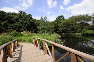 Yazın köprüsü, göleti ve yeşil ağaçları olan güzel Japon bahçesi.          