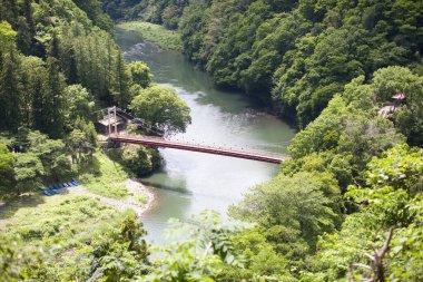 Ormandaki nehrin üzerinde güzel bir köprü