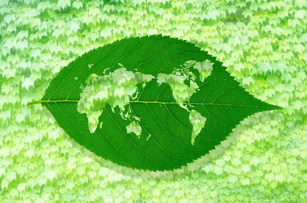 葉から作られた世界地図 環境の概念 — ストック写真