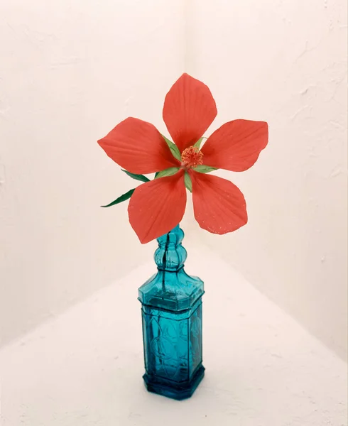 red flower in vase on white table