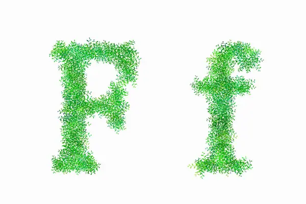 Lettere Alfabeto Verde Floreale Sfondo Bianco Lettera — Foto Stock