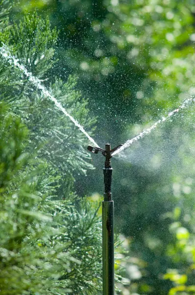 Sprinkler Watering Lawn Nature Background — Stock Photo, Image