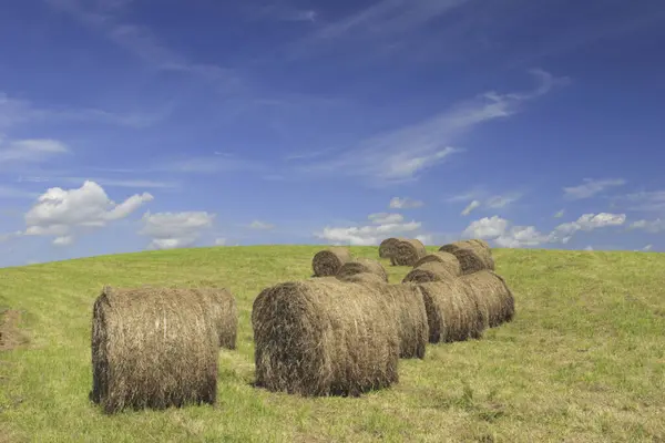 Hay Bales Field Harvest Season — Stock Photo, Image