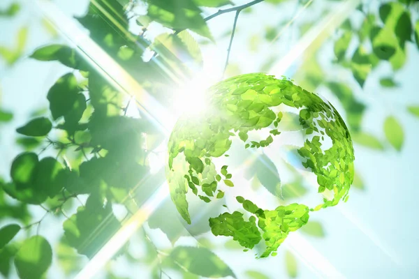 Frisch Grüne Baumblätter Und Transparenter Globus — Stockfoto