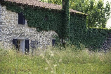 Köyde yeşil yapraklarla kaplı eski taş bir ev.