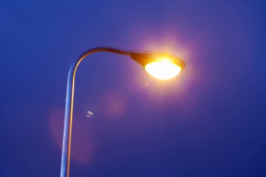 Karanlık gökyüzü arka planında sokak lambasının düşük açılı görüntüsü.