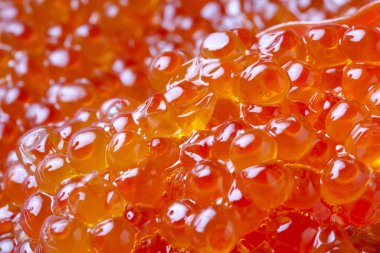 Kırmızı havyar yakın kadar arka plan 