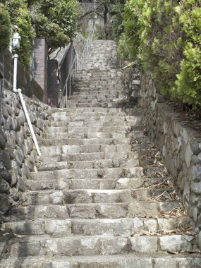 Yeşil çalılar ve taş duvarlar arasından yukarı doğru çıkan taş adımlar.