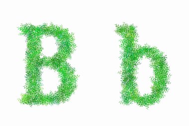 Beyaz arkaplanda yeşil alfabe harfleri, B harfi.