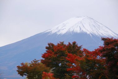 Japonya 'daki güzel Fuji Dağı.