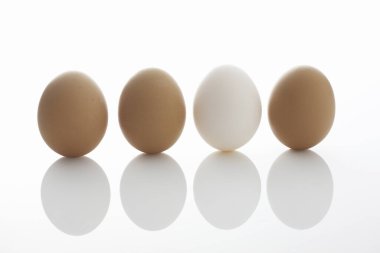 Taze tavuk yumurtalarının yakın görüntüsü 