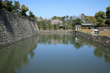 Yeşil şehir parkında eski taş duvar ve göl  