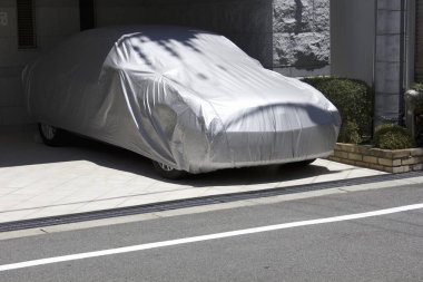 Konut yolunun yakınındaki küçük çalıların yanına park edilmiş üstü kapalı bir araba.