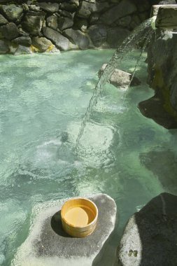 Parktaki gölün güzel manzarası 