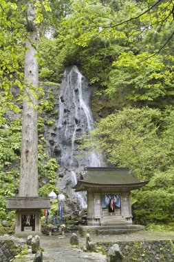 Ormanda güzel bir şelale