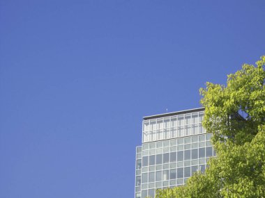 Şehirdeki modern binalar ve yeşil yapraklar     