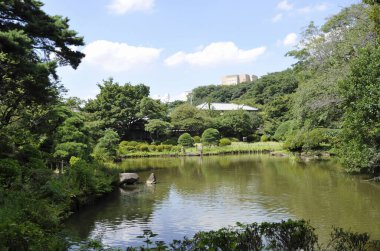 Yeşil ağaçları ve gölü olan güzel bir yaz parkı manzarası.                