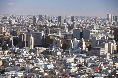 Tokyo şehrinin gündüz hava görüntüsü, Japonya