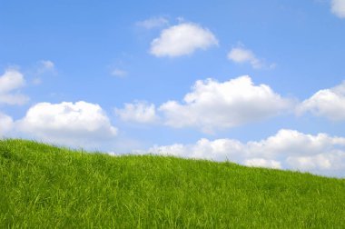 çimenler ve mavi gökyüzü