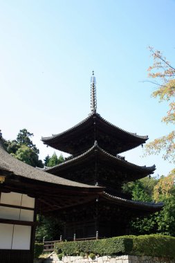 Tapınak manzarası, geleneksel Japon mimarisi.