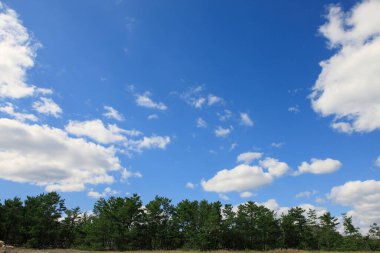 Yeşil çimenli manzara