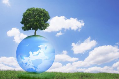 Ağaclı toprak küresi, ekoloji kavramı