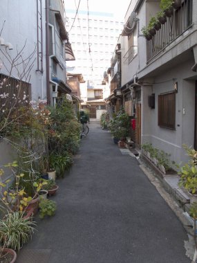 Güneşli şehir caddesi binalarla dolu.