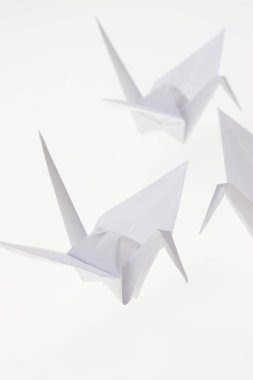 Origami kuşları, beyaz üzerinde izole.