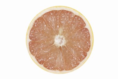 greyfurt beyaz arkaplanda izole