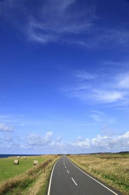 Kırsalda güzel bir yol manzarası var.       