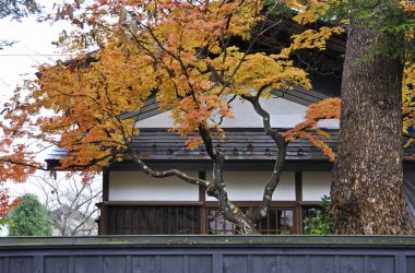 Kırmızı ve sarı yapraklı Japon bahçesi 