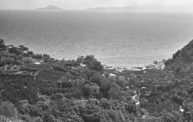 Yemyeşil bitki örtüsü ve köylü deniz manzaralı, siyah ve beyaz