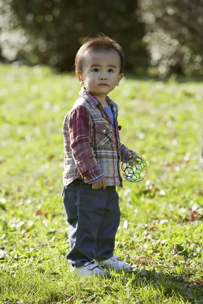 Parktaki Çimlerde Oynayan Yakışıklı Asyalı Çocuk — Stok fotoğraf