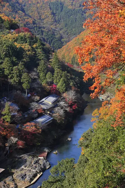 Nehir ve evleri olan sonbahar ormanı ağaçları 