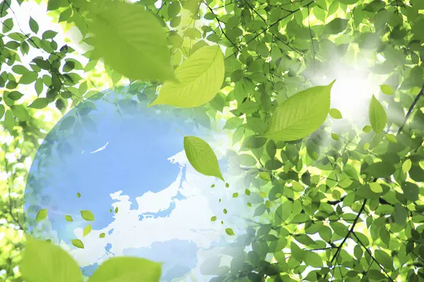 青い空の背景を持つ新鮮な緑の葉 — ストック写真