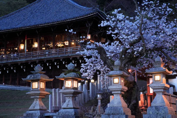 Över Tempelbyggnaden Traditionell Japansk Arkitektur — Stockfoto