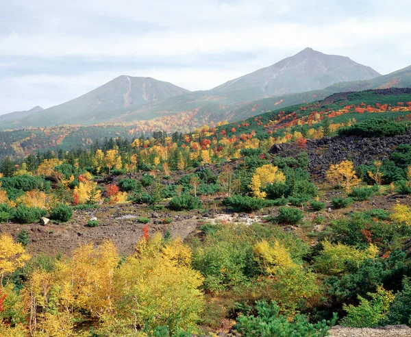Beautiful Mountain Landscape Scenic Forest Autumn Season — Stock Photo, Image
