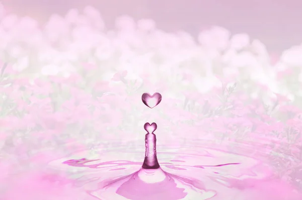 heart shaped water drops and pink flower petals romantic background