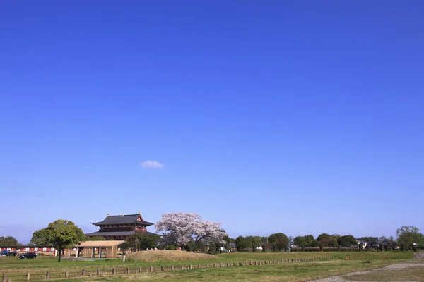 Sakura Und Suzaku Tor Des Nara Palace Site Reisekonzept — Stockfoto