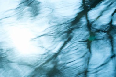 Eski Dallar Göle Yansıdı