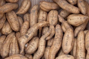 Dokuma sepetinde taze tatlı patates yığını