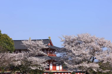 Sakura ve Nara Sarayı 'nın Suzaku Kapısı. Seyahat kavramı