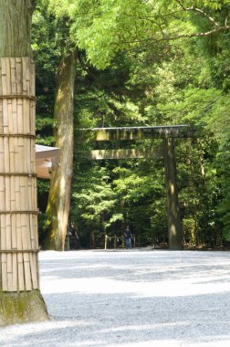 Japonya 'daki ormandaki eski Japon tapınağı.