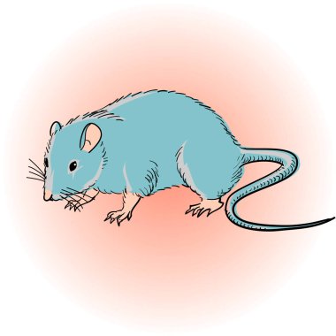 şirin çizgi film gri fare çizimi