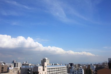 Şehrin dikey yoğunluğu parlak Japon güneş ışığında açıkça görülebilir..