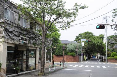 Banliyö evleri ve yeşil ağaçları olan güzel bir sokak manzarası.