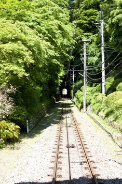 Demiryolu. Japonya 'da ormanda tren rayları