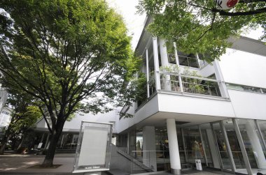 Kakinokizaka bölgesi sokak manzarası, Japonya