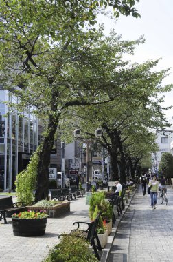 Tokyo, Japonya - Kasım 12, 2016: Tokyo, Japonya 'da sokakta yürüyen kimliği belirsiz insanlar.